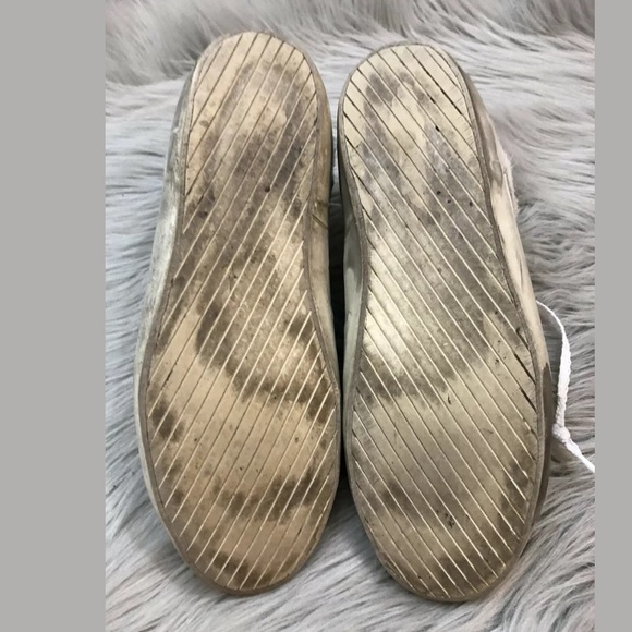 Golden goose - Picture 8 of 8